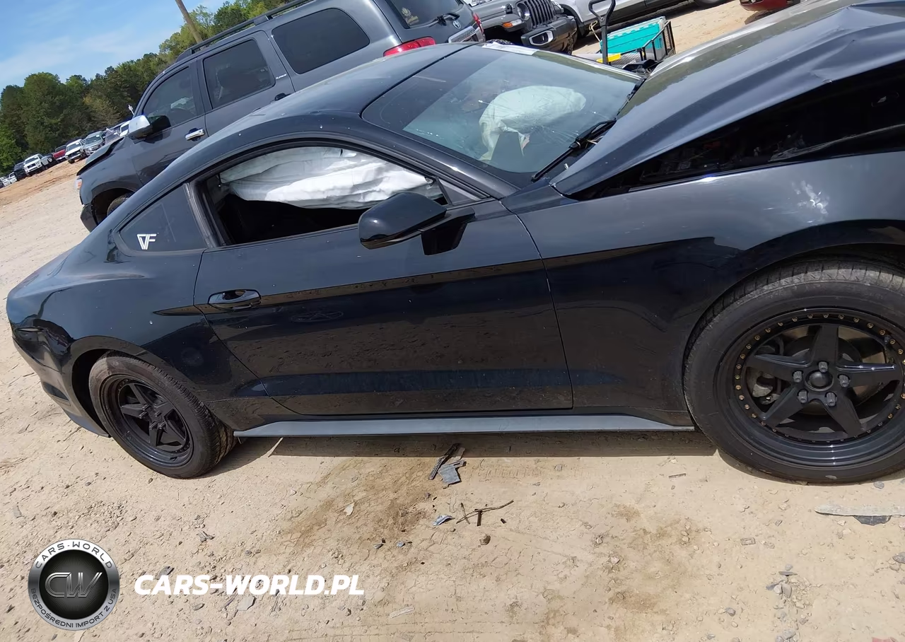 2019 Ford Mustang Ecoboost VIN:1FA6P8TH0K5203178 - 14