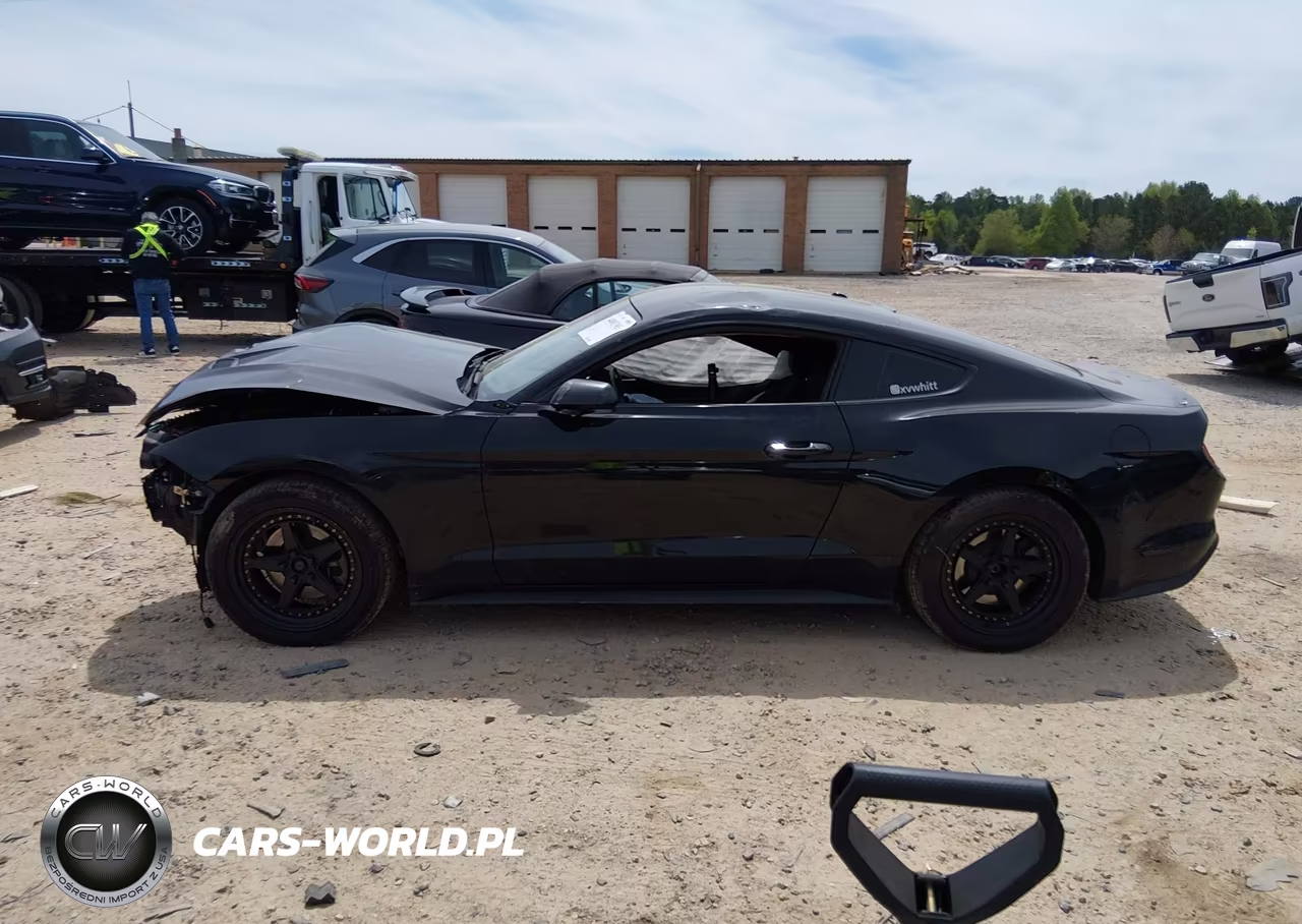 2019 Ford Mustang Ecoboost VIN:1FA6P8TH0K5203178 - 15