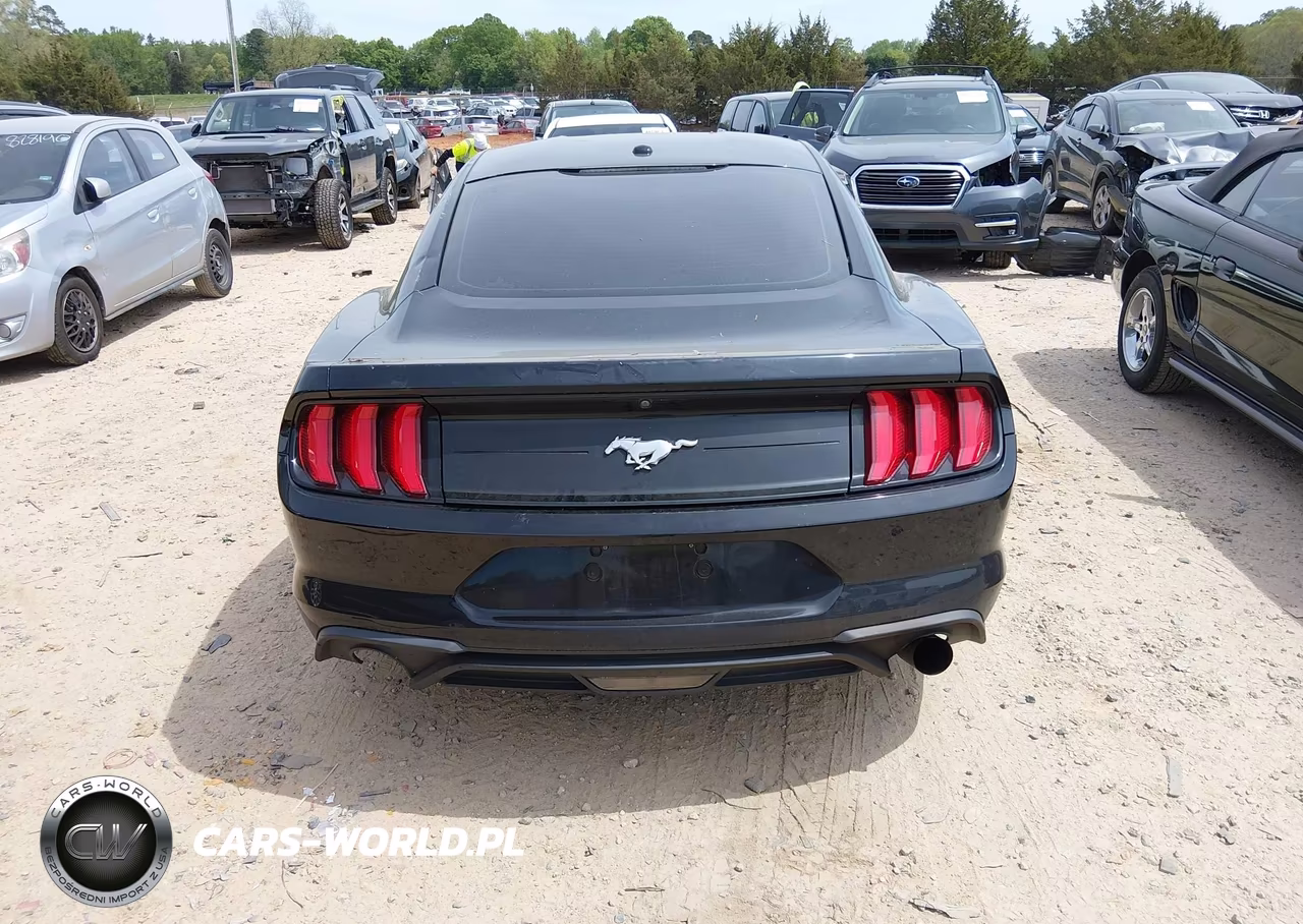 2019 Ford Mustang Ecoboost VIN:1FA6P8TH0K5203178 - 17