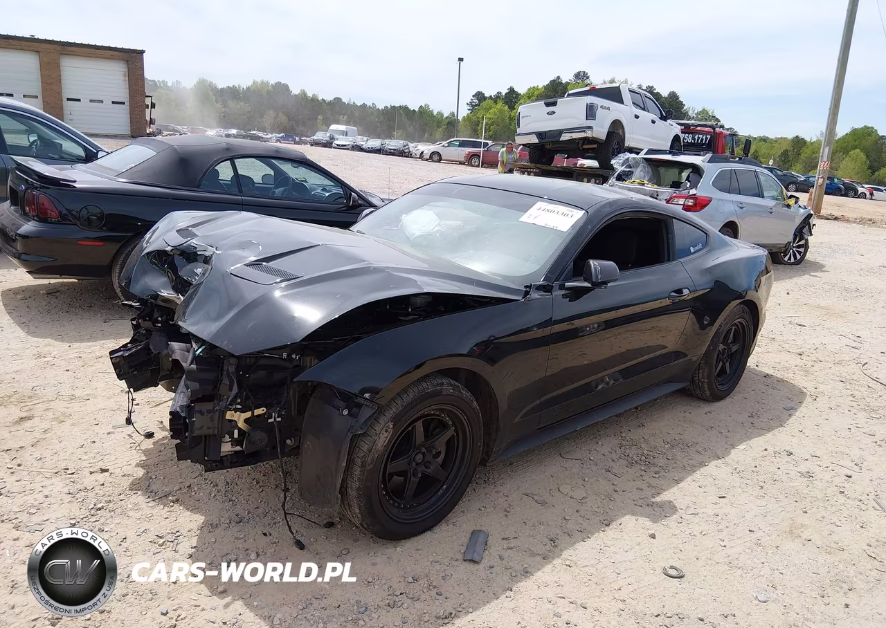 2019 Ford Mustang Ecoboost VIN:1FA6P8TH0K5203178 - 2