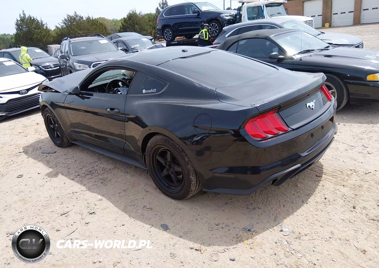2019 Ford Mustang Ecoboost VIN:1FA6P8TH0K5203178 - 3