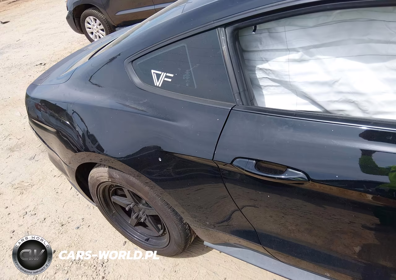 2019 Ford Mustang Ecoboost VIN:1FA6P8TH0K5203178 - 8