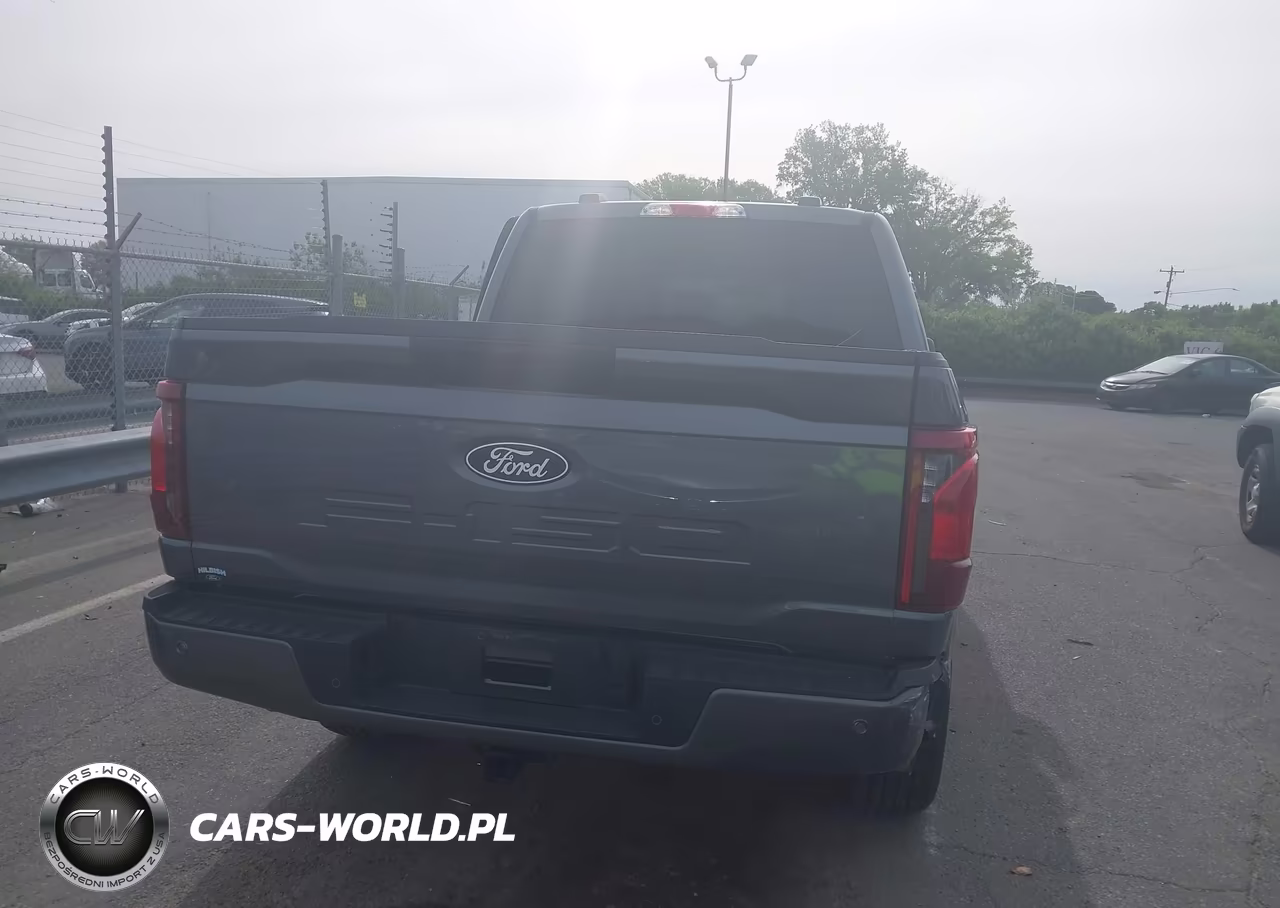 2025 Ford F-150 Stx VIN:1FTEW2LP2SKD49919 - 16