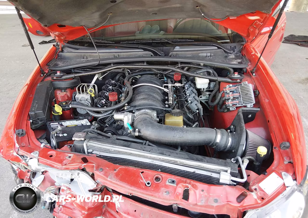2006 Pontiac Gto VIN:6G2VX12U06L505204 - 10