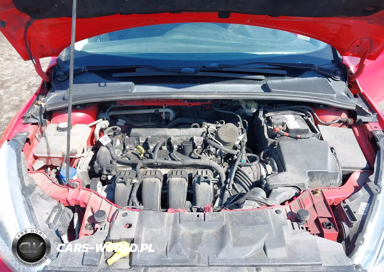 2016 Ford Focus Se VIN:1FADP3K2XGL204266 - 10