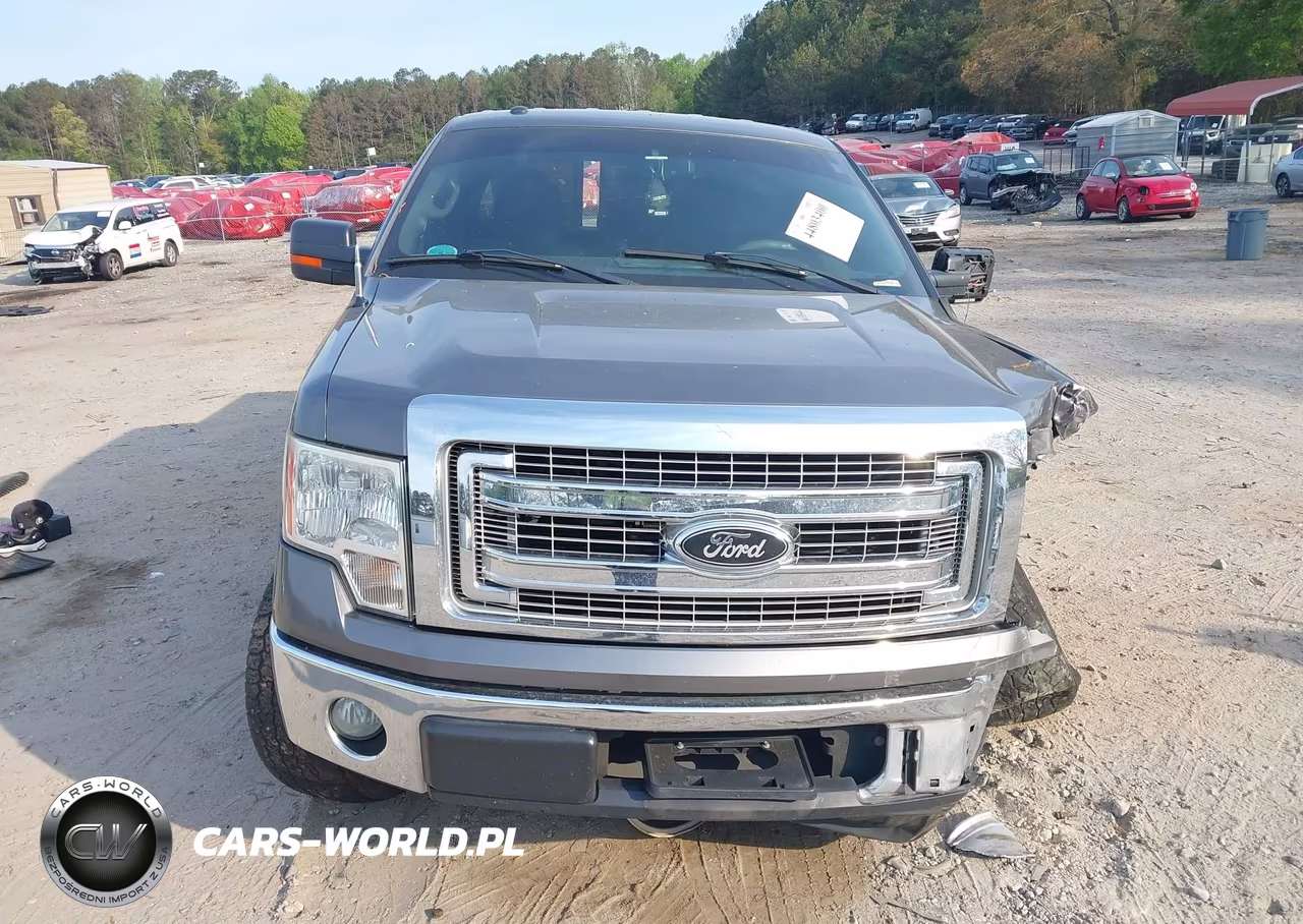 2014 Ford F-150 Xlt VIN:1FTEW1CM9EFA41062 - 12