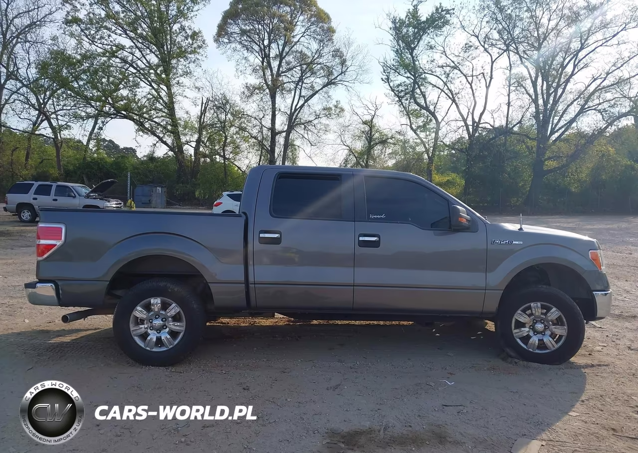 2014 Ford F-150 Xlt VIN:1FTEW1CM9EFA41062 - 13