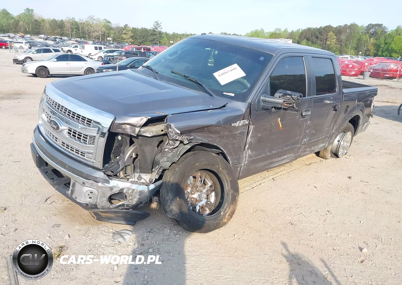 2014 Ford F-150 Xlt VIN:1FTEW1CM9EFA41062 - 2