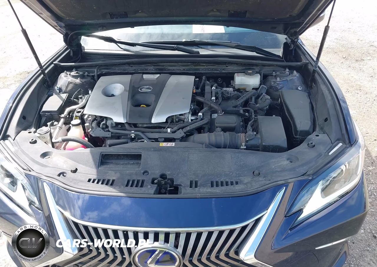 2019 Lexus Es 300H VIN:JTHB21B1XK2042843 - 10