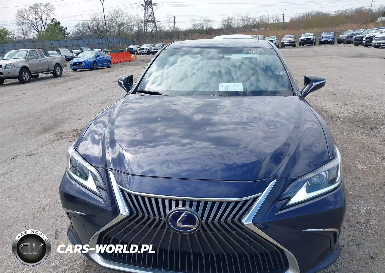2019 Lexus Es 300H VIN:JTHB21B1XK2042843 - 12