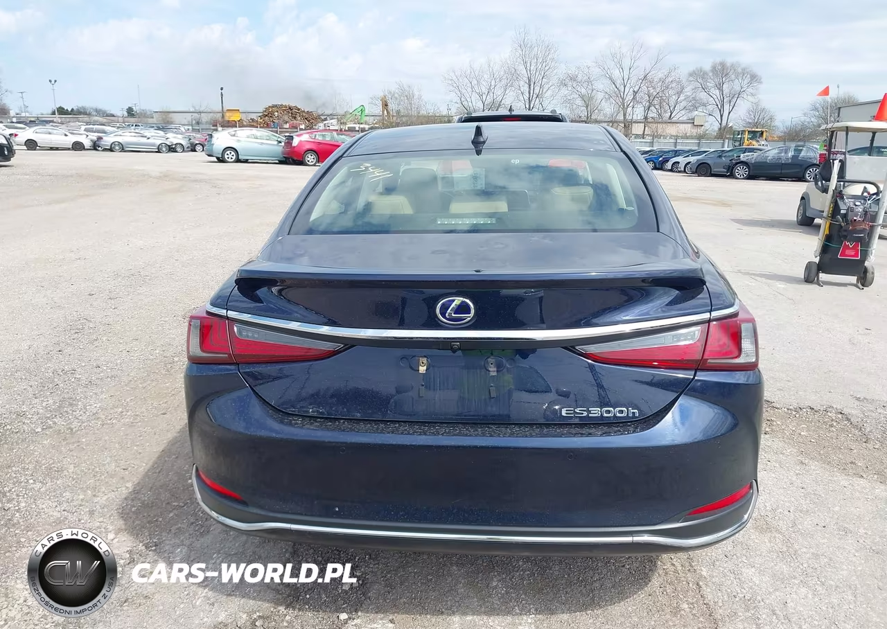 2019 Lexus Es 300H VIN:JTHB21B1XK2042843 - 16