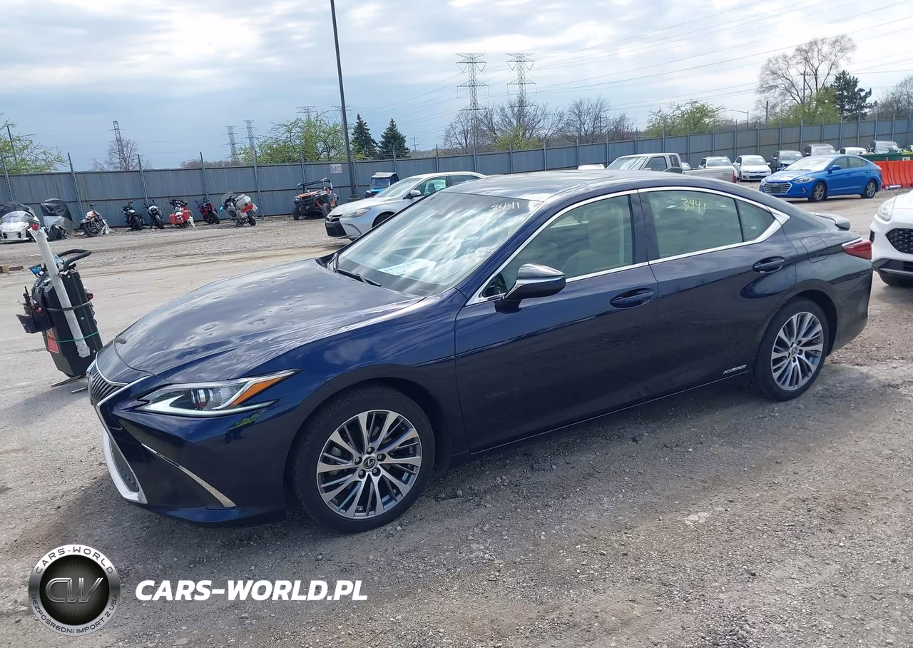 2019 Lexus Es 300H VIN:JTHB21B1XK2042843 - 2