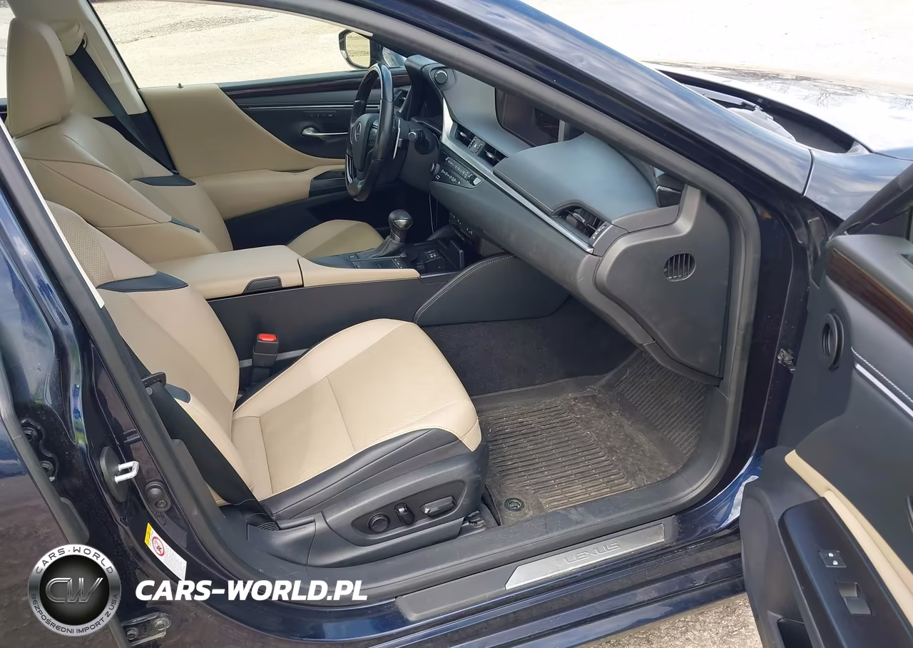 2019 Lexus Es 300H VIN:JTHB21B1XK2042843 - 5