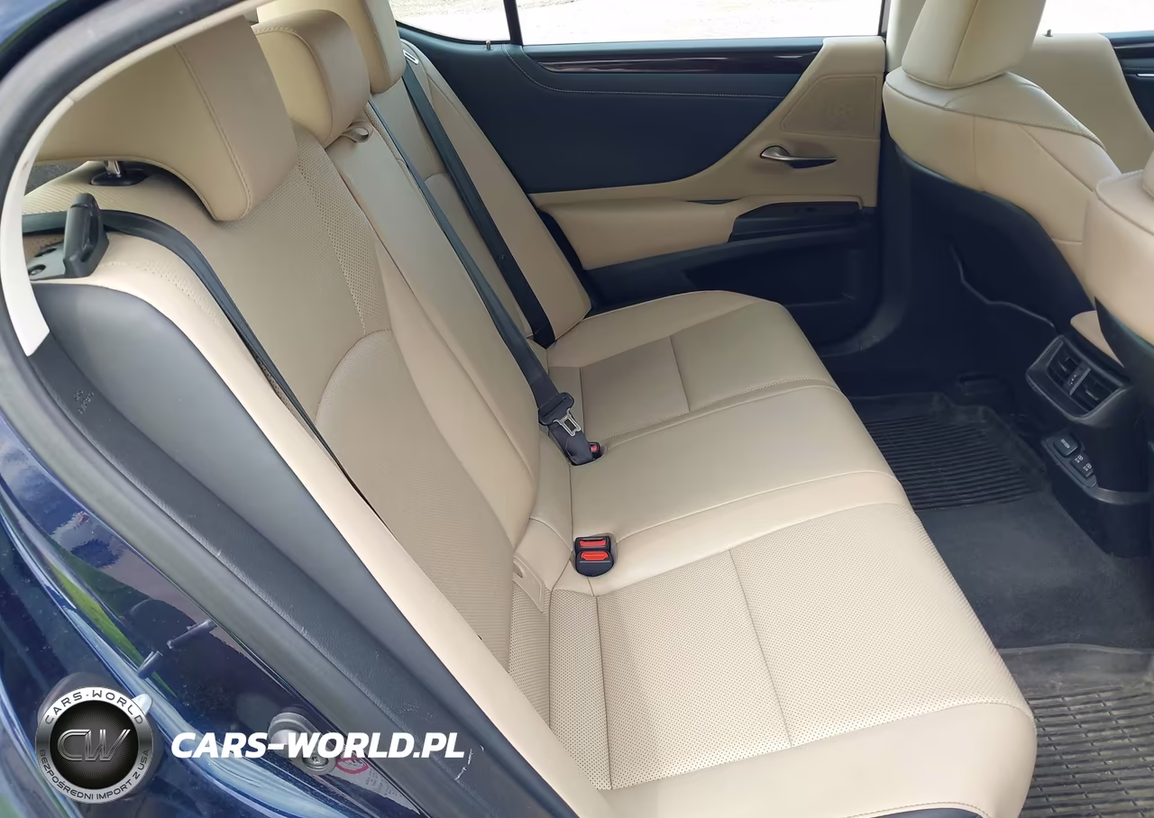 2019 Lexus Es 300H VIN:JTHB21B1XK2042843 - 8