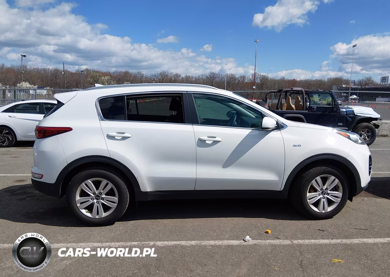 2019 Kia Sportage Lx VIN:KNDPMCAC1K7492190 - 12