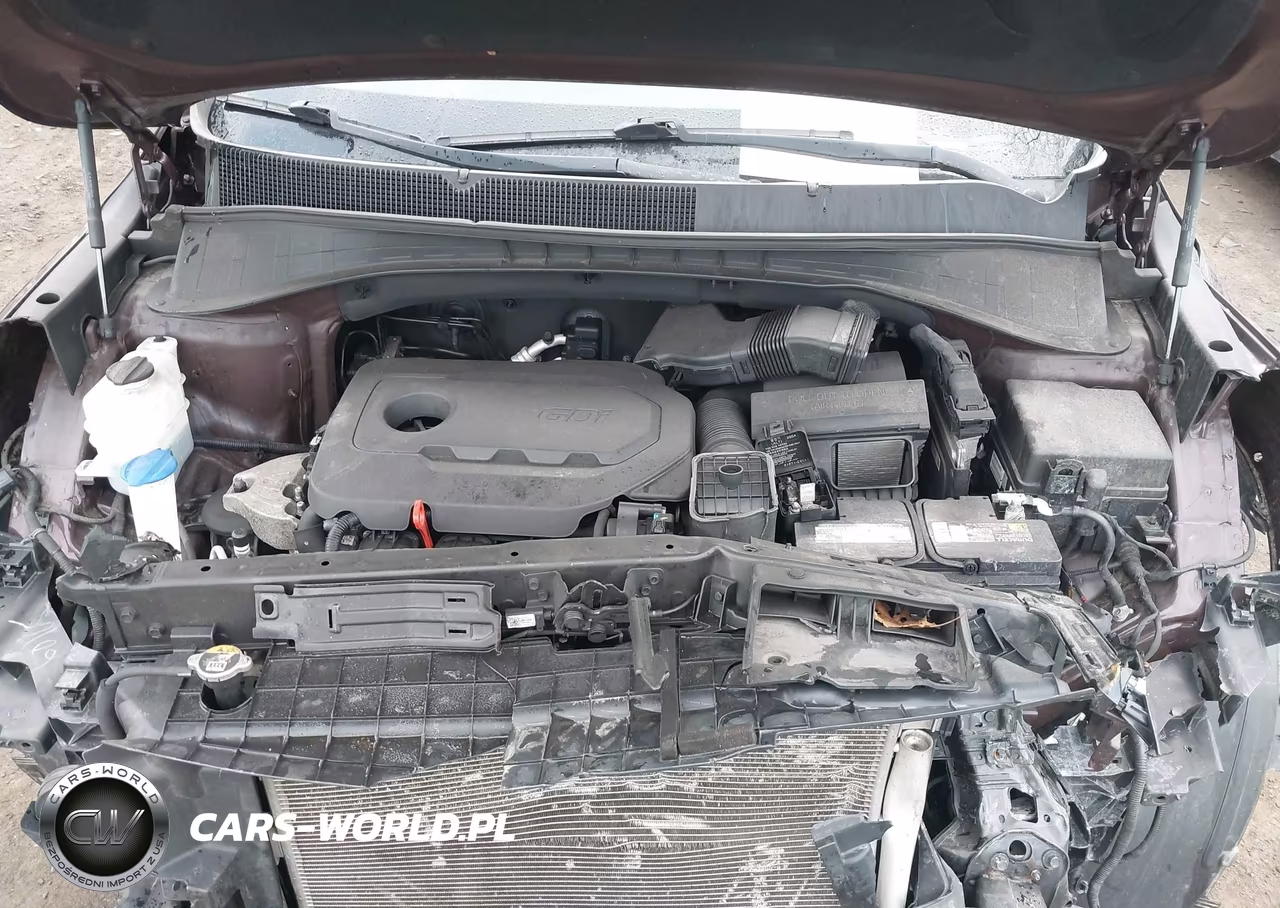 2019 Kia Sorento 2.4L Lx VIN:5XYPG4A30KG575755 - 10