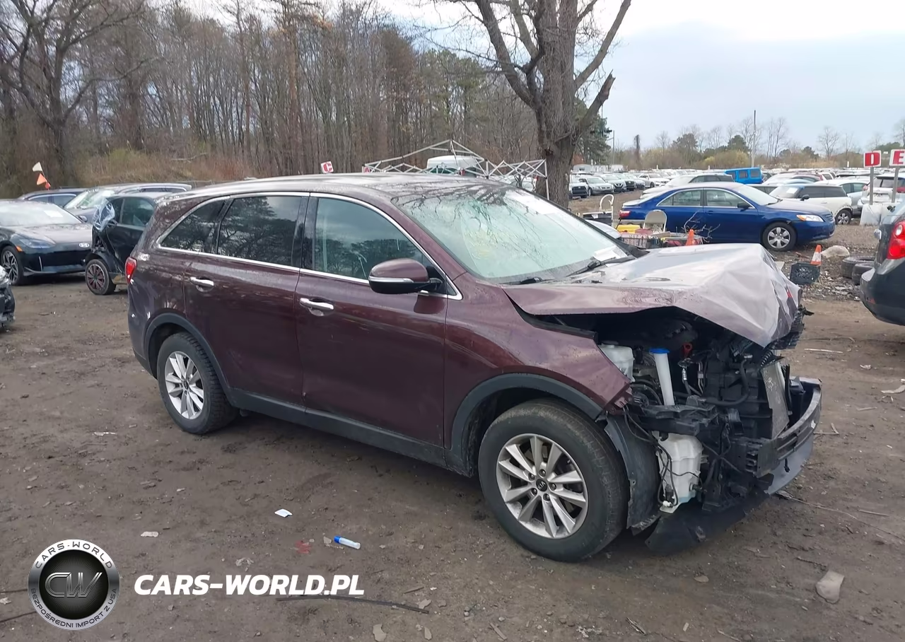2019 Kia Sorento 2.4L Lx VIN:5XYPG4A30KG575755 - 13