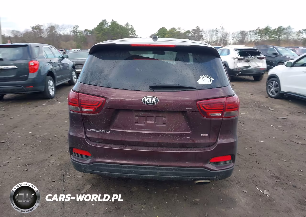 2019 Kia Sorento 2.4L Lx VIN:5XYPG4A30KG575755 - 16