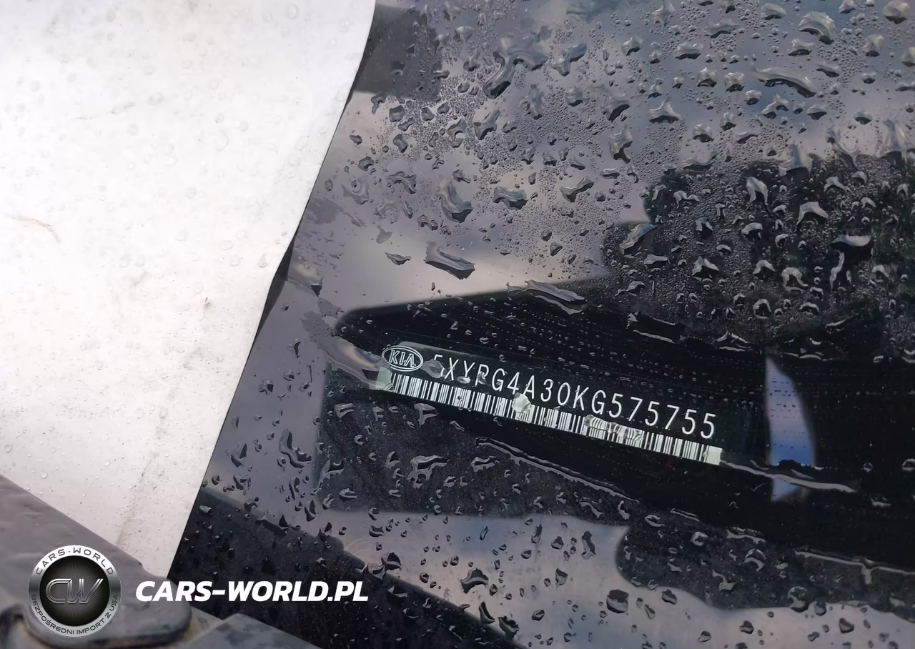 2019 Kia Sorento 2.4L Lx VIN:5XYPG4A30KG575755 - 17
