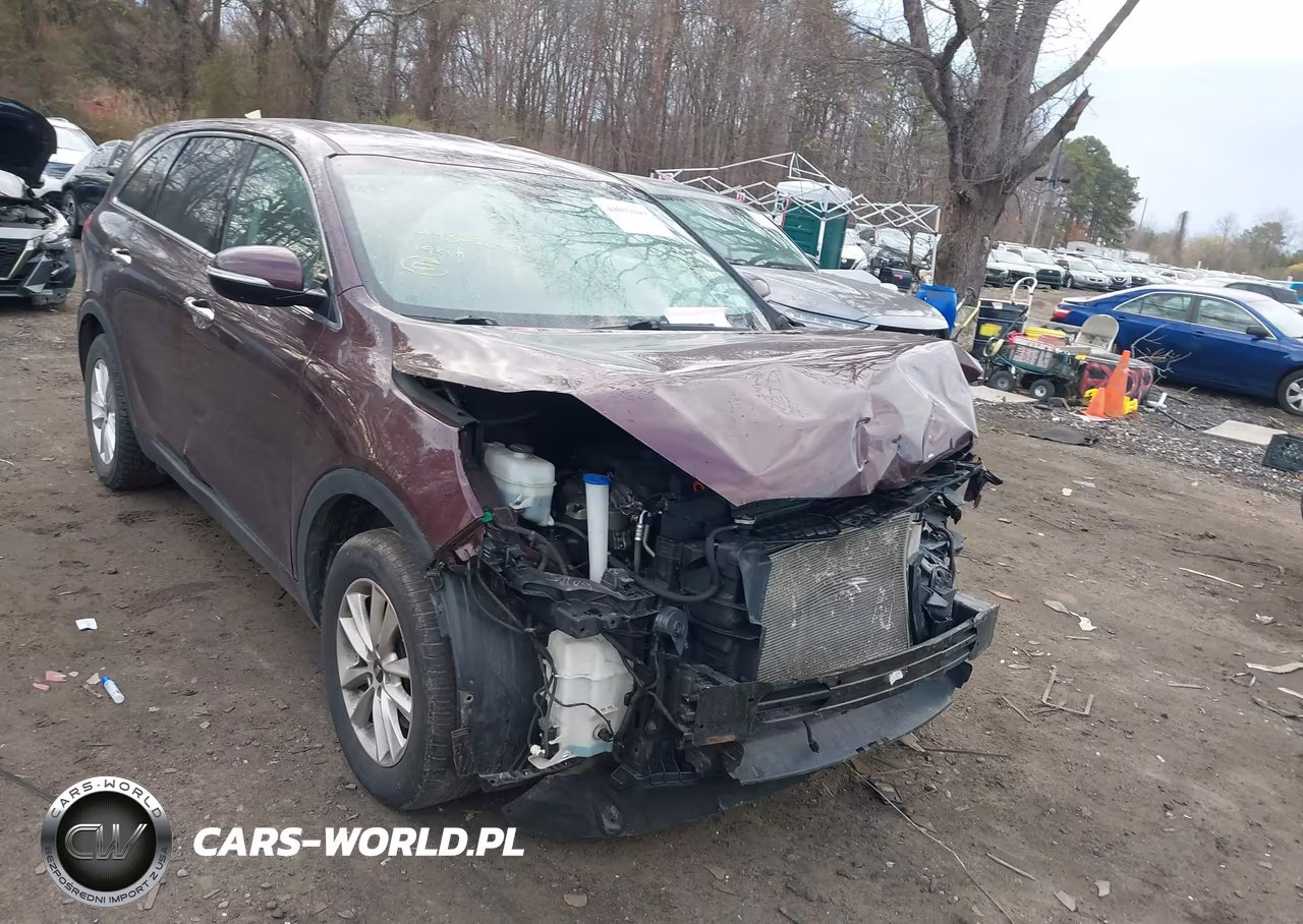 2019 Kia Sorento 2.4L Lx VIN:5XYPG4A30KG575755 - 6