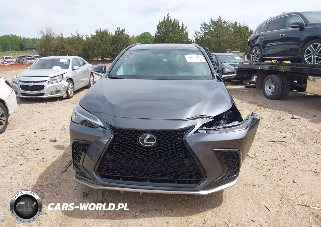 2024 Lexus Nx 350 F Sport Handling VIN:2T2KGCEZ2RC034520 - 11