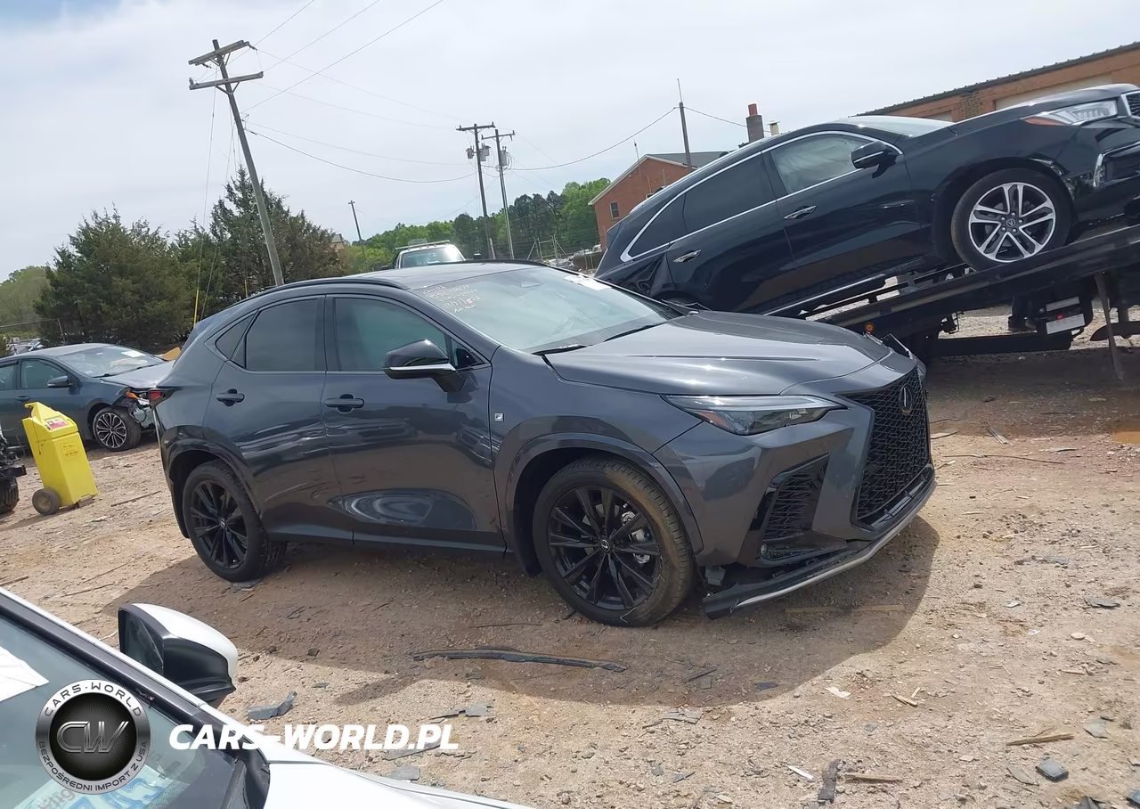 2024 Lexus Nx 350 F Sport Handling VIN:2T2KGCEZ2RC034520 - 12