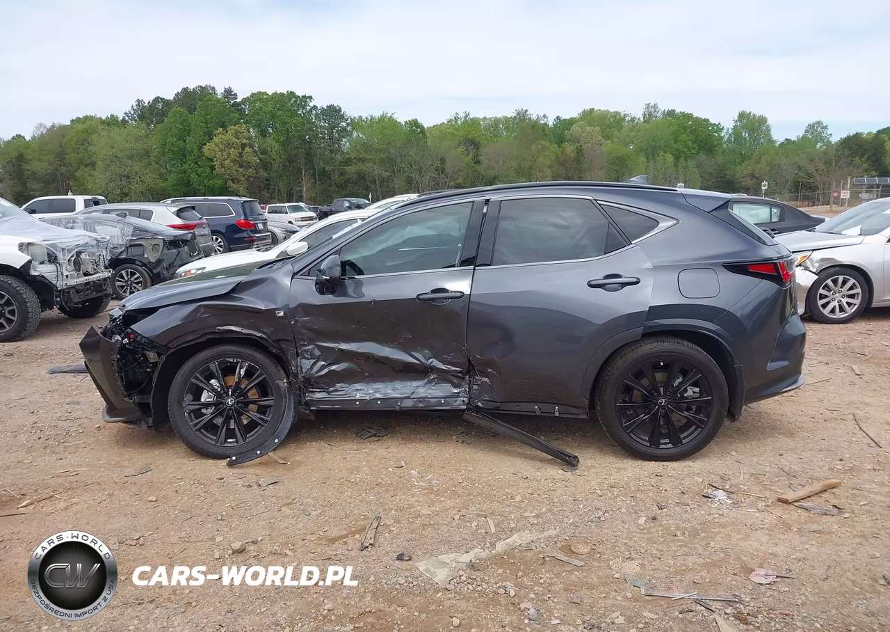 2024 Lexus Nx 350 F Sport Handling VIN:2T2KGCEZ2RC034520 - 13