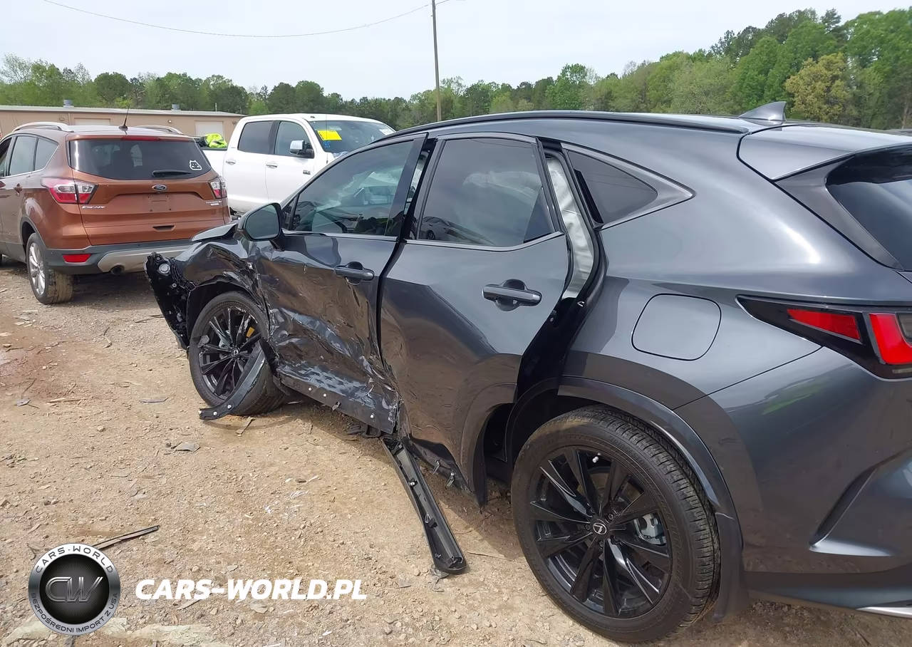 2024 Lexus Nx 350 F Sport Handling VIN:2T2KGCEZ2RC034520 - 6