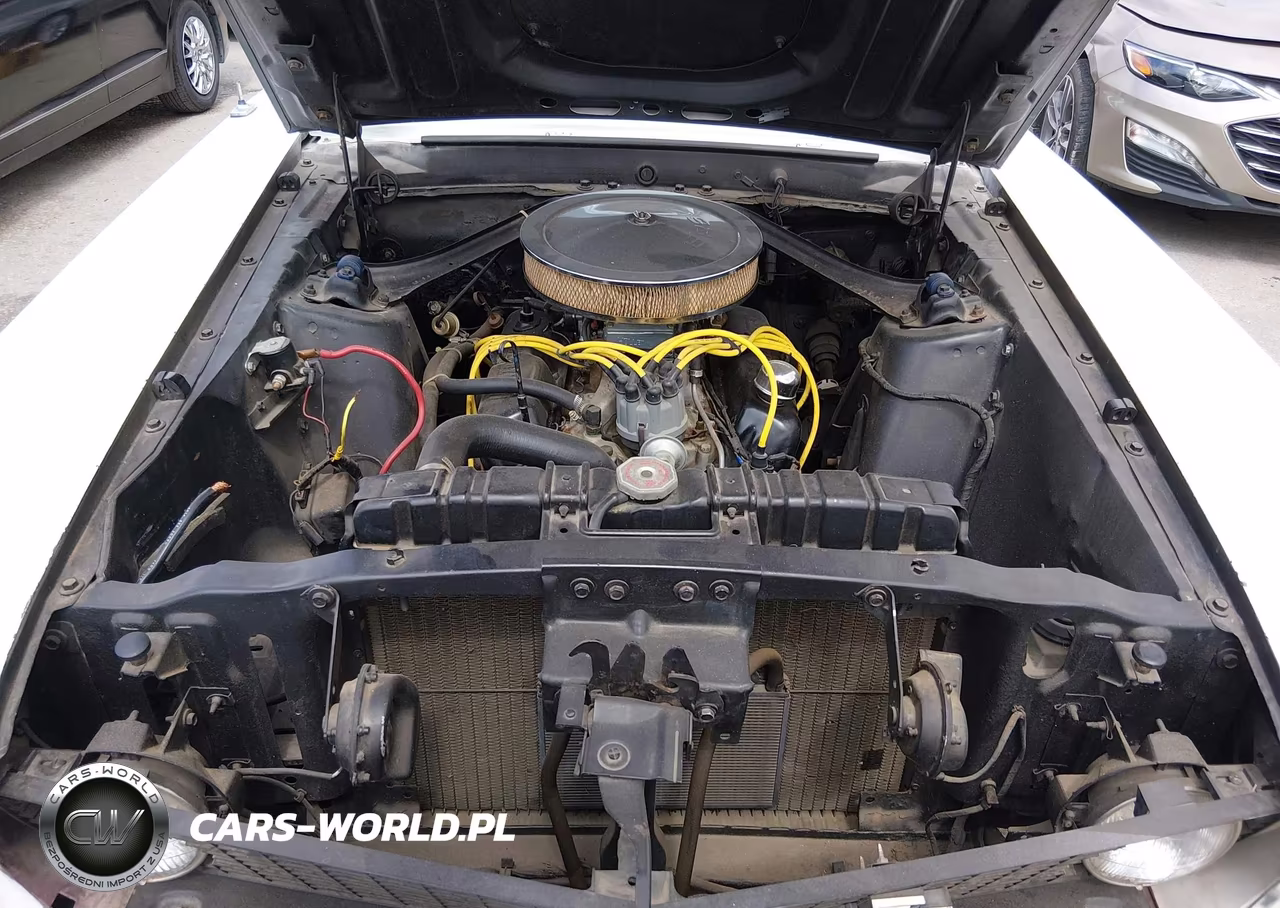 1969 Ford Mustang VIN:9F01F102651 - 10