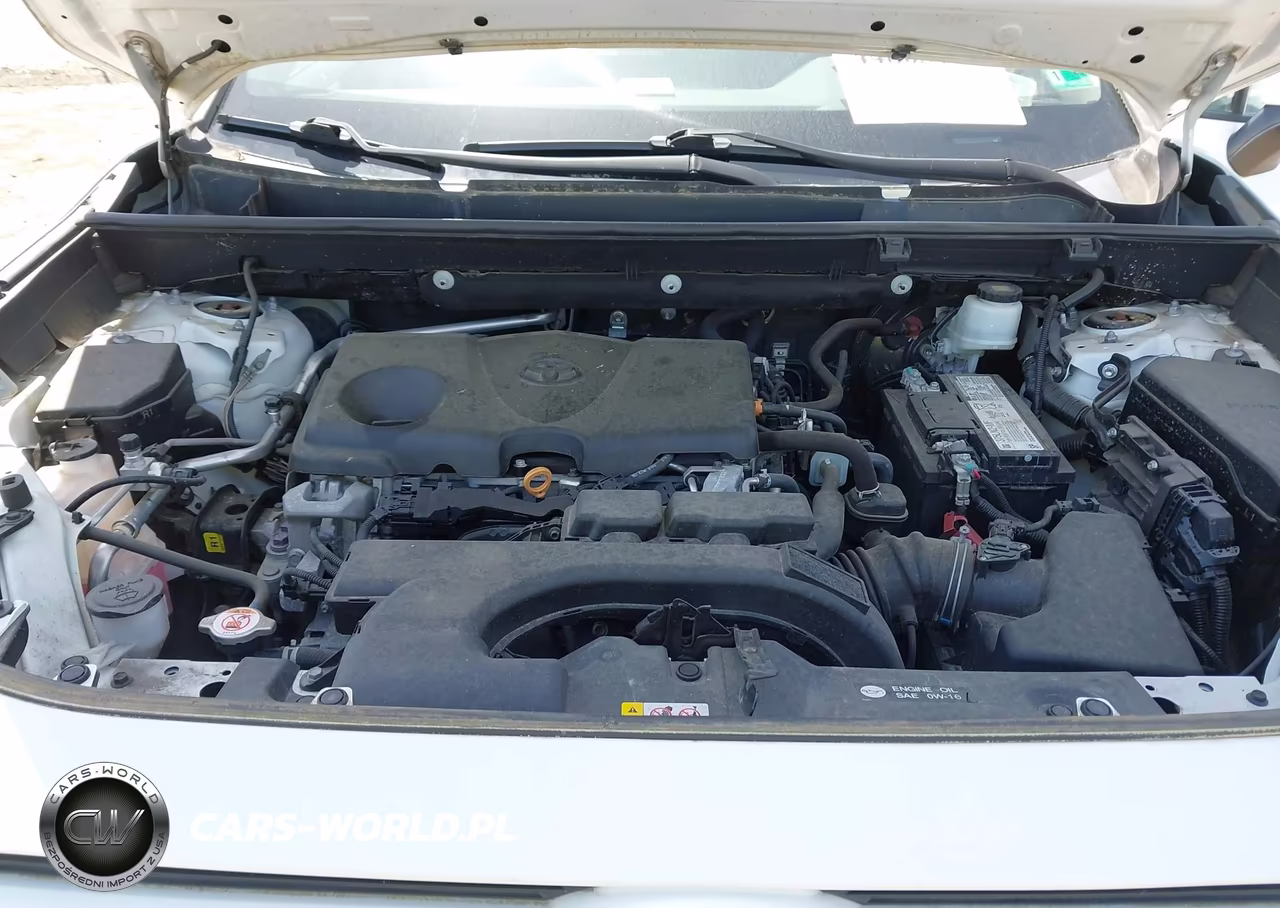 2020 Toyota Rav4 Le VIN:2T3K1RFVXLC064223 - 10