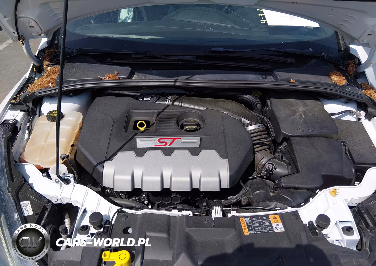 2018 Ford Focus St VIN:1FADP3L92JL307667 - 10