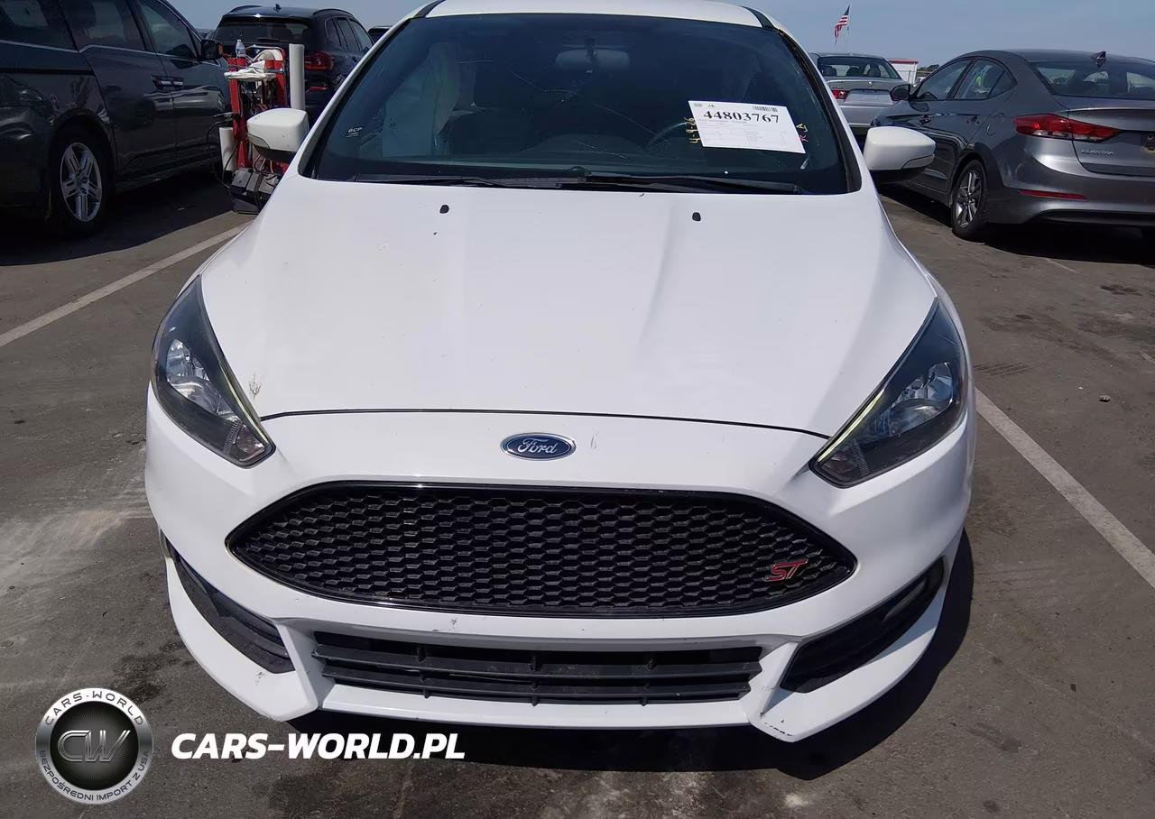 2018 Ford Focus St VIN:1FADP3L92JL307667 - 12