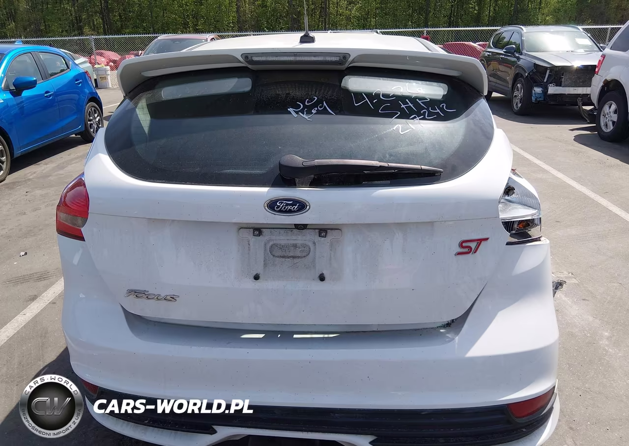 2018 Ford Focus St VIN:1FADP3L92JL307667 - 16