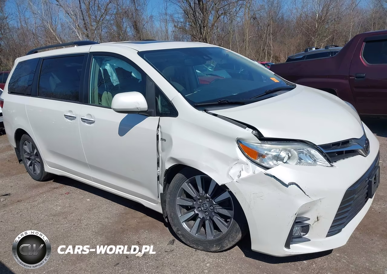 2019 Toyota Sienna Xle 7 Passenger VIN:5TDDZ3DC6KS218988 - 13
