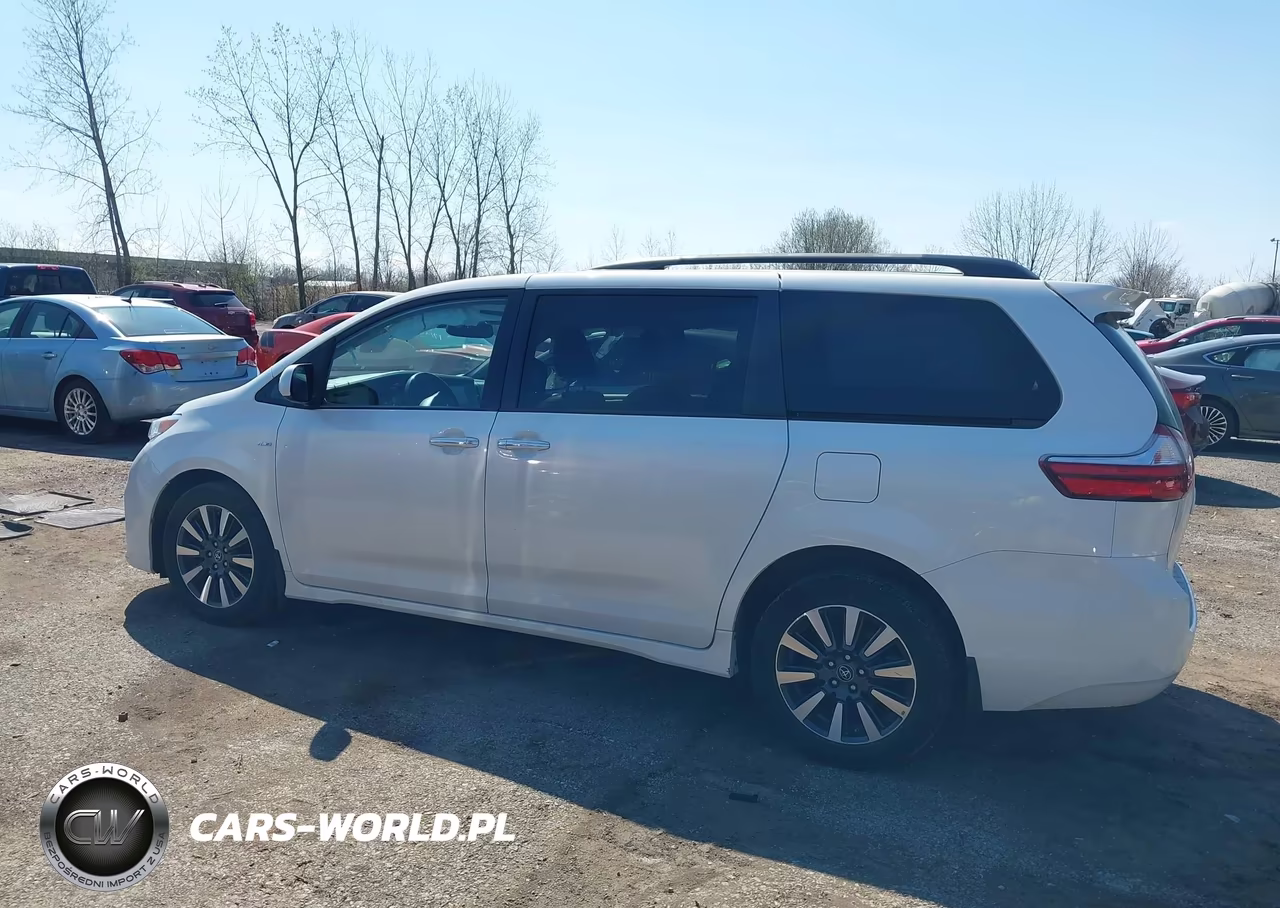 2019 Toyota Sienna Xle 7 Passenger VIN:5TDDZ3DC6KS218988 - 14