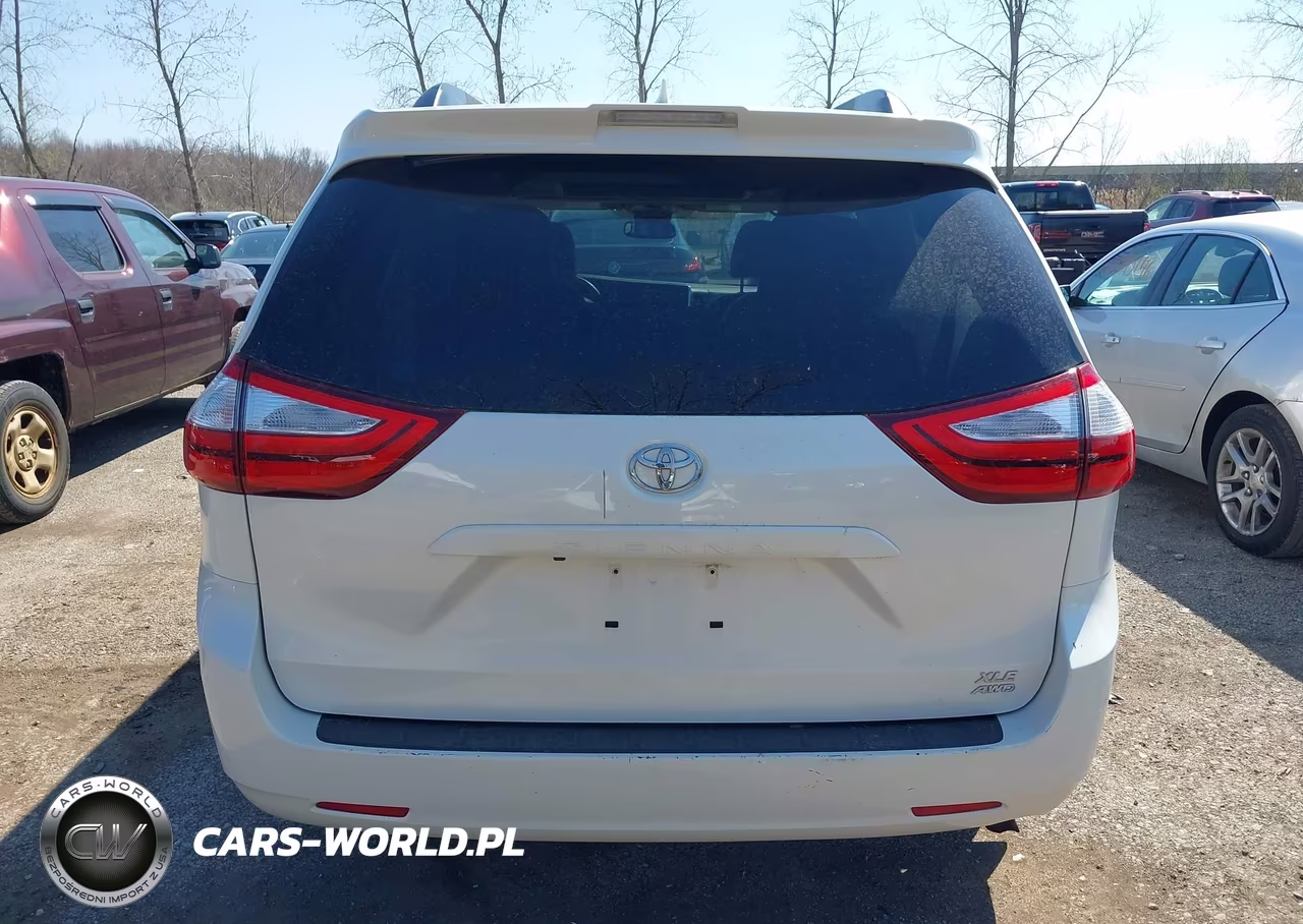 2019 Toyota Sienna Xle 7 Passenger VIN:5TDDZ3DC6KS218988 - 16
