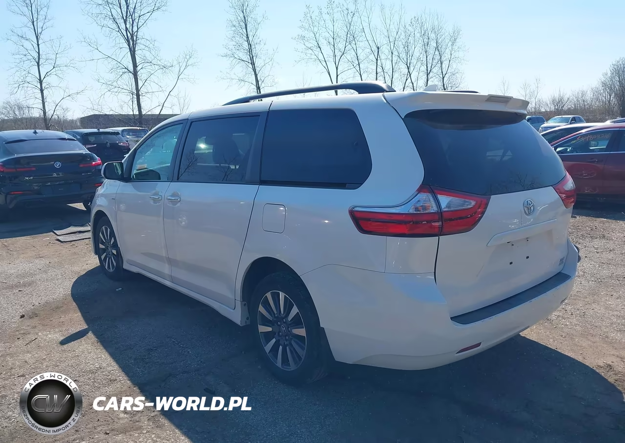2019 Toyota Sienna Xle 7 Passenger VIN:5TDDZ3DC6KS218988 - 3