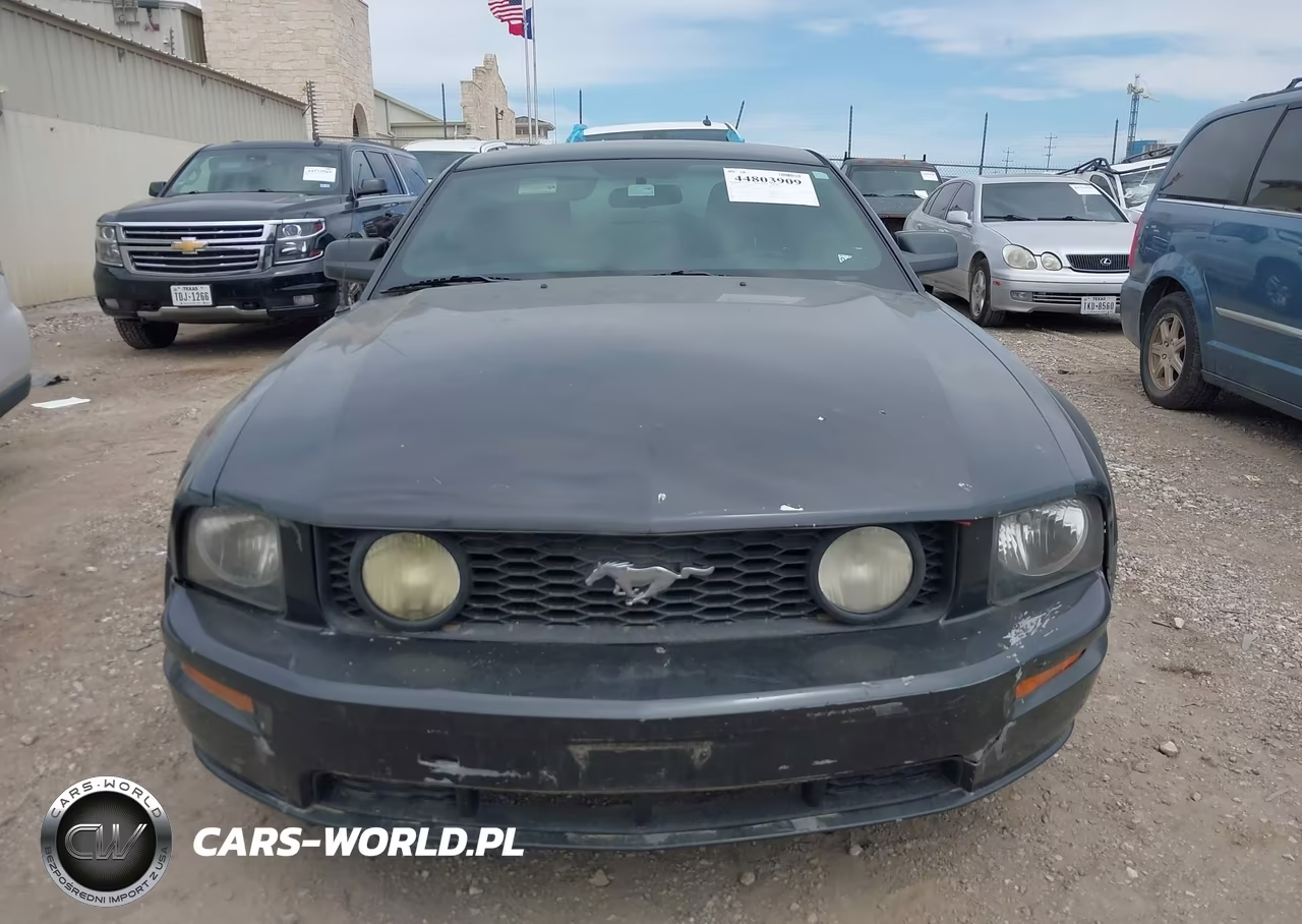 2008 Ford Mustang Gt Premium VIN:1ZVHT82H285203351 - 12