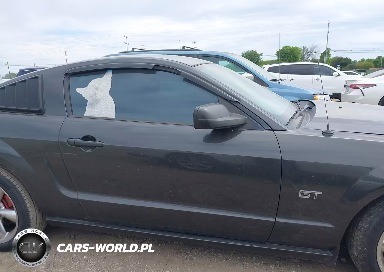 2008 Ford Mustang Gt Premium VIN:1ZVHT82H285203351 - 13