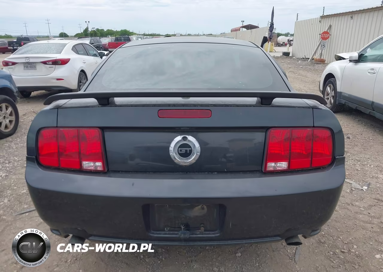 2008 Ford Mustang Gt Premium VIN:1ZVHT82H285203351 - 16