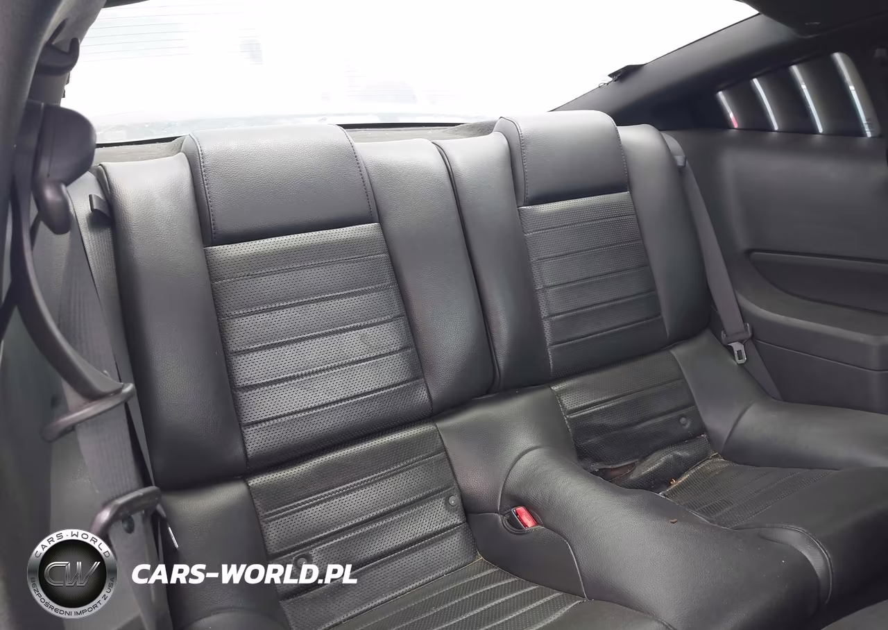 2008 Ford Mustang Gt Premium VIN:1ZVHT82H285203351 - 8