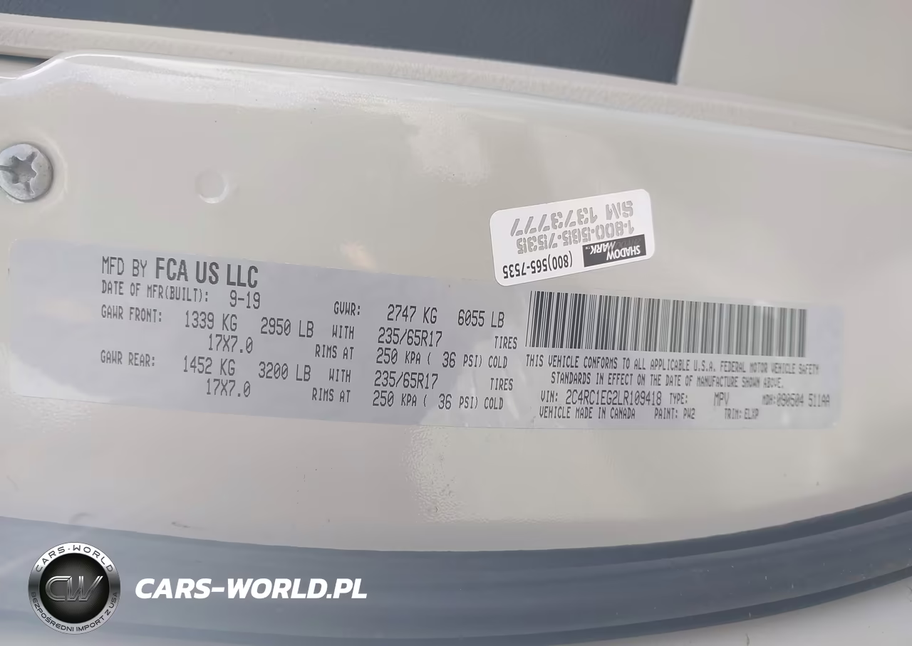 2020 Chrysler Pacifica Touring L Plus VIN:2C4RC1EG2LR109418 - 9