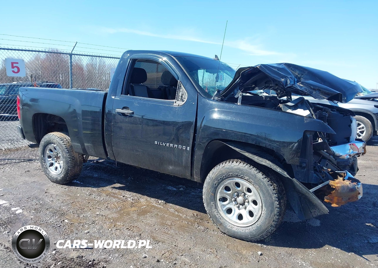 2009 Chevrolet Silverado 1500 Work Truck