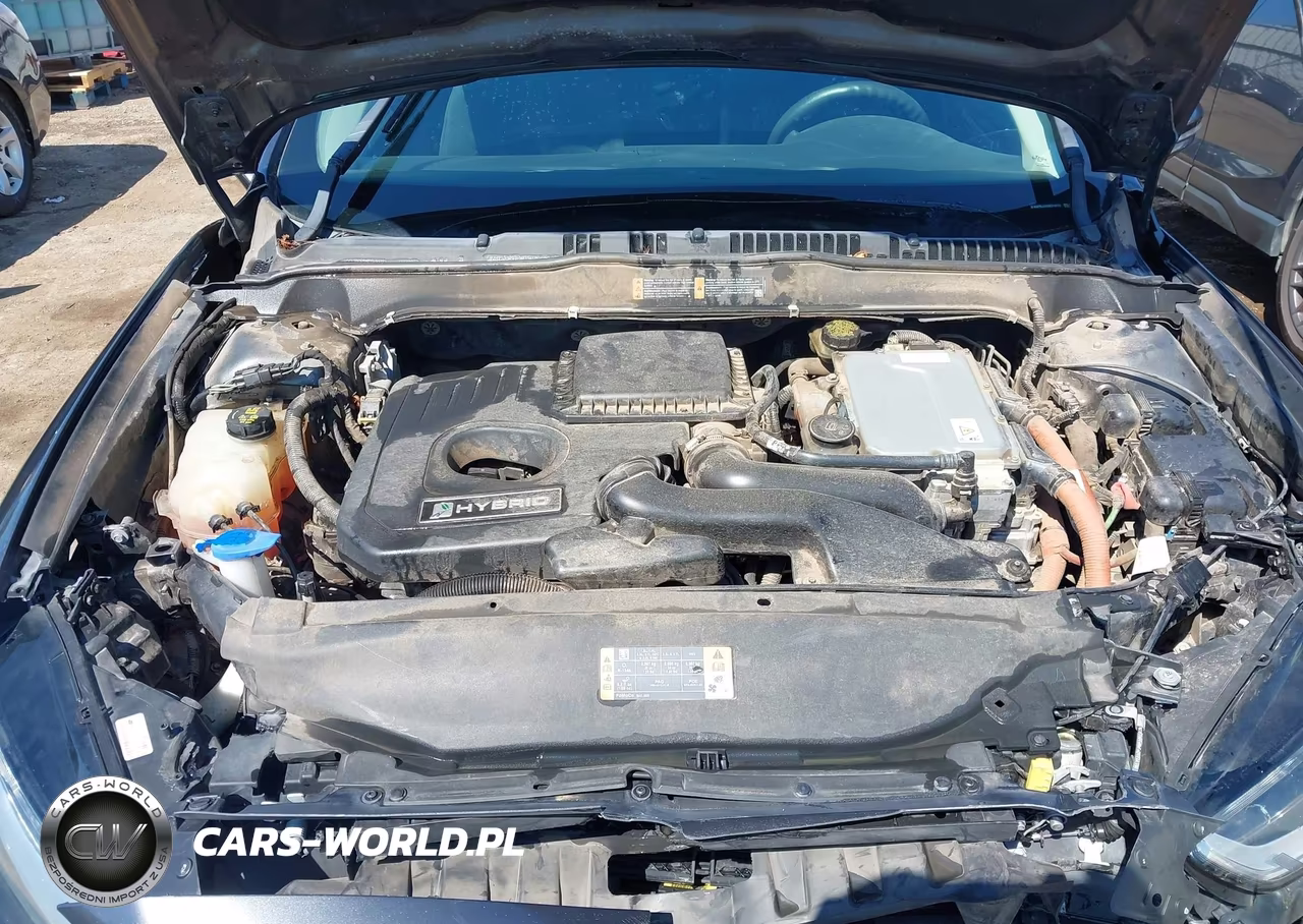2016 Ford Fusion Hybrid Se VIN:3FA6P0LUXGR318552 - 10