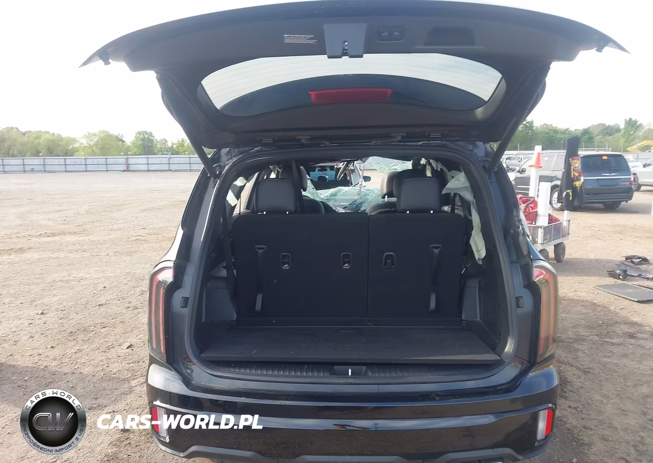 2025 Kia Telluride Ex X-Line VIN:5XYP3DGC6SG573799 - 12