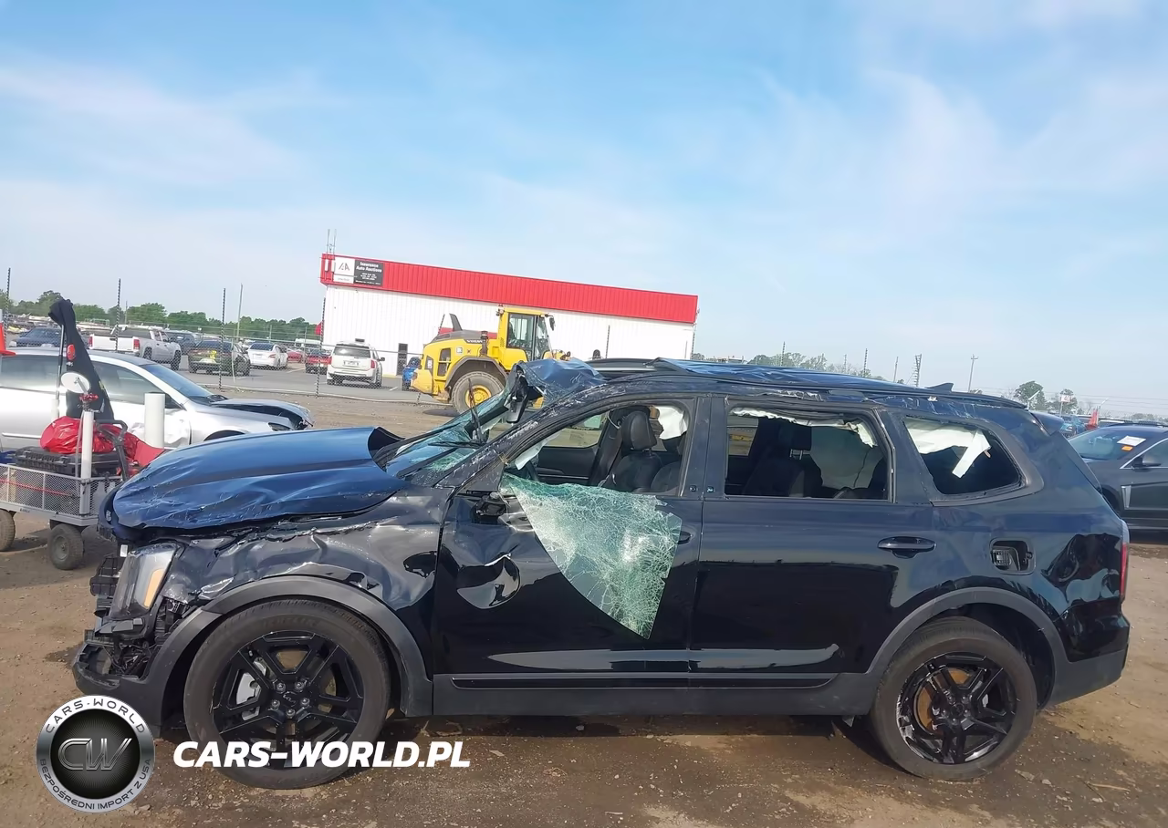 2025 Kia Telluride Ex X-Line VIN:5XYP3DGC6SG573799 - 14