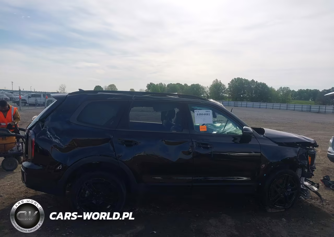 2025 Kia Telluride Ex X-Line VIN:5XYP3DGC6SG573799 - 15