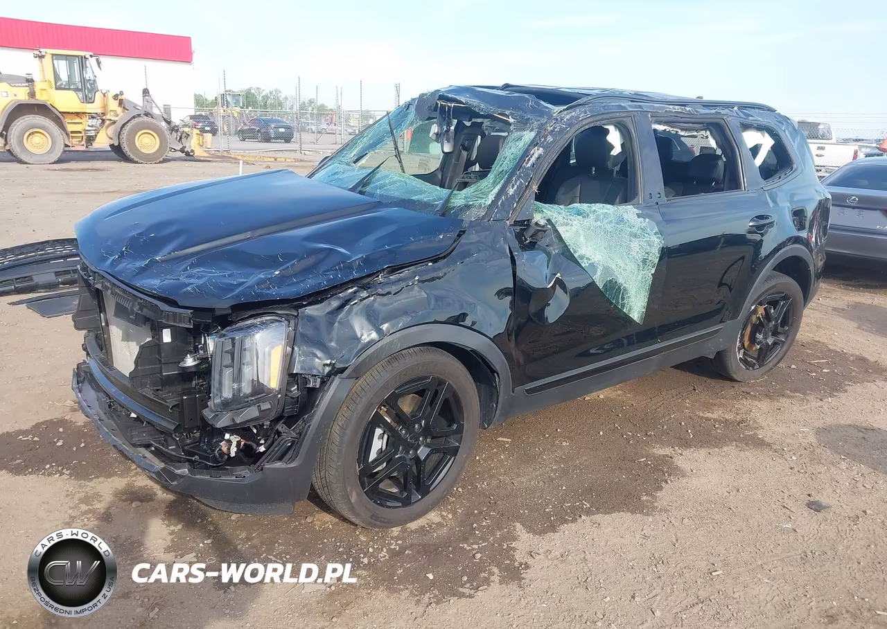 2025 Kia Telluride Ex X-Line VIN:5XYP3DGC6SG573799 - 2