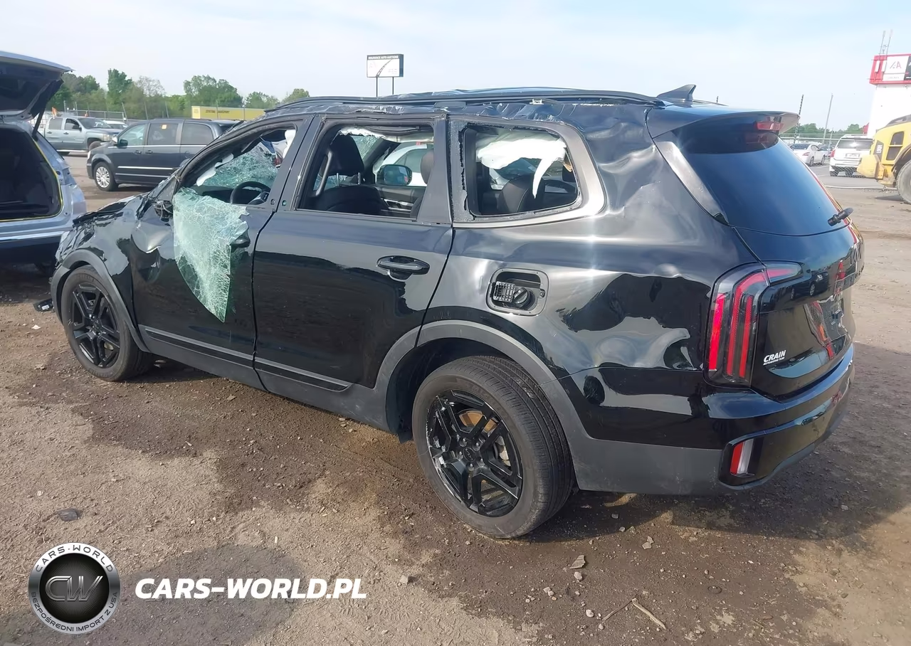 2025 Kia Telluride Ex X-Line VIN:5XYP3DGC6SG573799 - 3