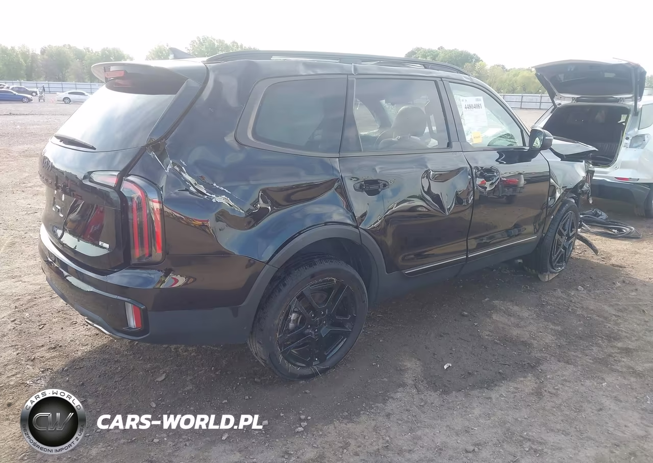 2025 Kia Telluride Ex X-Line VIN:5XYP3DGC6SG573799 - 4